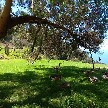 Arambha Ecovillage Campsite *