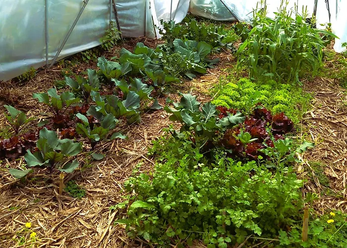 Κάμπινγκ Arambha Ecovillage *