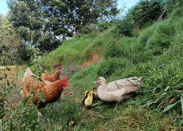 Κάμπινγκ Arambha Ecovillage *