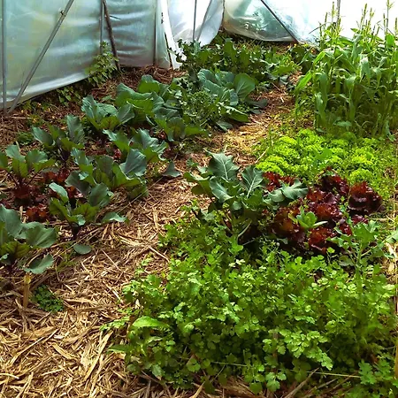 Κάμπινγκ Arambha Ecovillage *