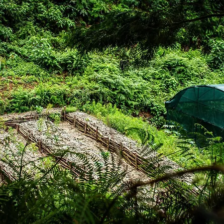 Arambha Ecovillage * Tabua (Madeira)