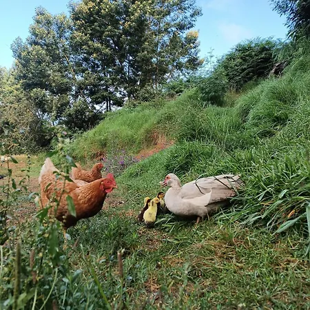 Camping Arambha Ecovillage *