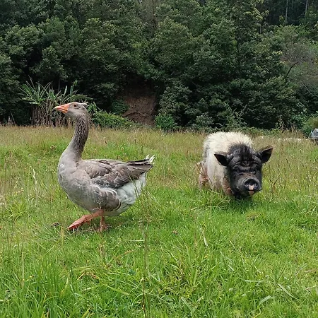 Κάμπινγκ Arambha Ecovillage *