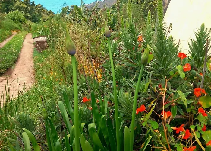 Campingplatz Arambha Ecovillage